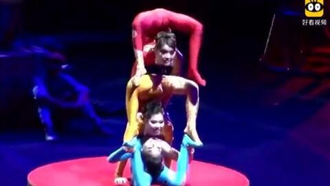 女子福利柔术视频在线,领略柔美与力量的完美融合