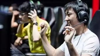 网红深夜福利在线,揭秘幕后真相与热门话题